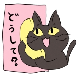 こぬこ