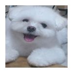 しげちゃん