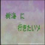 dkscr
