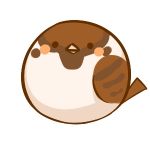 がこ