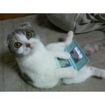 おどるほうせき