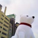 いぬのしっぽ