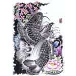 鯉太郎
