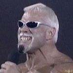 Steinerizer