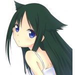 ニャオス
