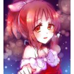 いすか