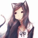 月猫