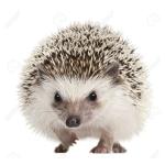 あき