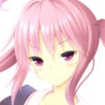 うぃっくたん