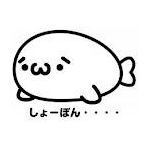 のら猫＠