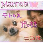  маггои（マロン）