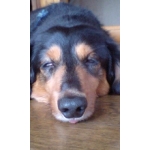 userPhoto
