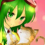 天照(てんてる)