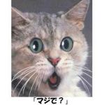 ユーザー画像