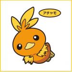 雑賀ゆず