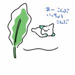 砂名
