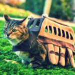 ぃろは