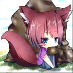 紅キツネ