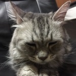 ばらん