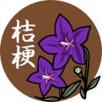 創端　桔梗