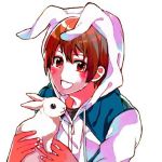 だいだい