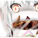 DoRa猫