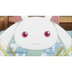 かちゅりー