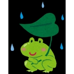 userPhoto