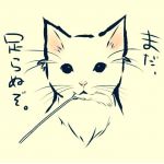 mukkuの叫び