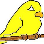ばーどん