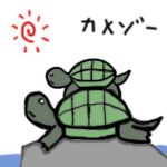 カメゾー