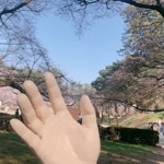 userPhoto