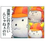 [今日も]ぴこにゃん祭