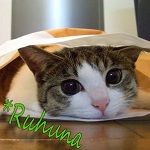 *Ruhuna