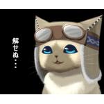 灰猫
