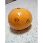みかんず