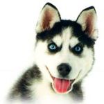 userPhoto