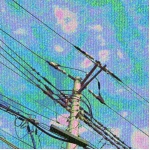 ぽんぽこ