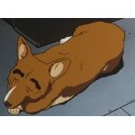 令和暦において最高のみぎー