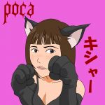 ぽか