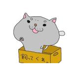 userPhoto