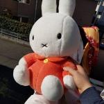userPhoto