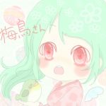 梅鳥さん