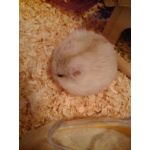 ミナセその２