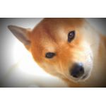 ユーザー画像