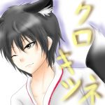 クロキツネ