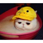 お塩松