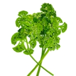Parsley