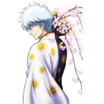 fankist@gintama