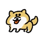 しばけん
